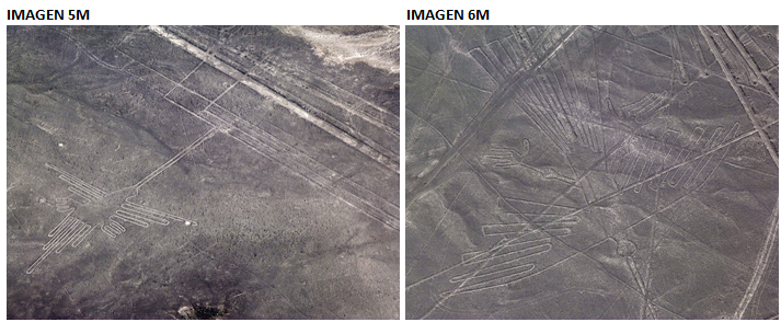 Captura de pantalla 2020-11-02 203401