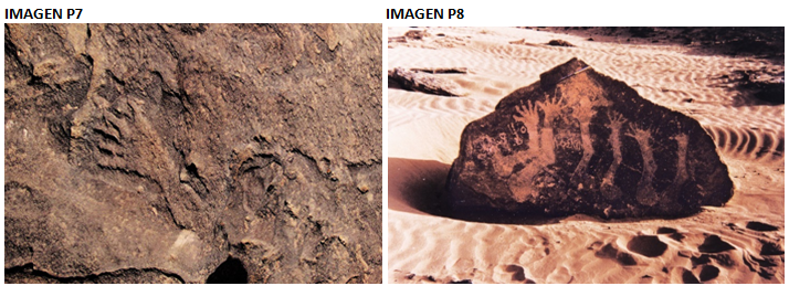 Captura de pantalla 2020-11-02 205313