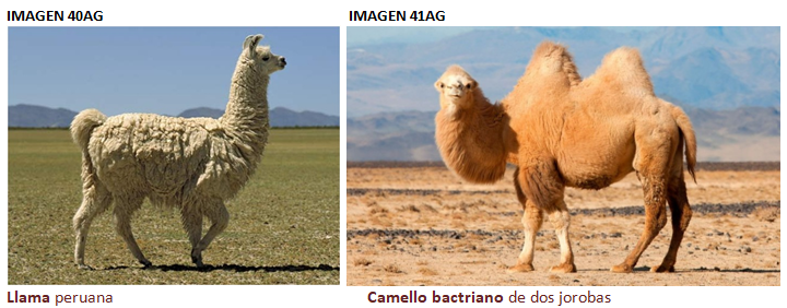 Captura de pantalla 2020-11-03 203108